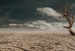 Climate change and global warming