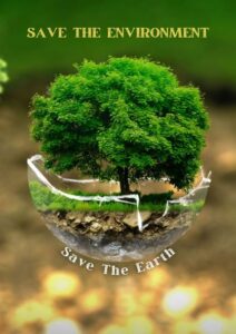 Importance of the Environment in the Universe