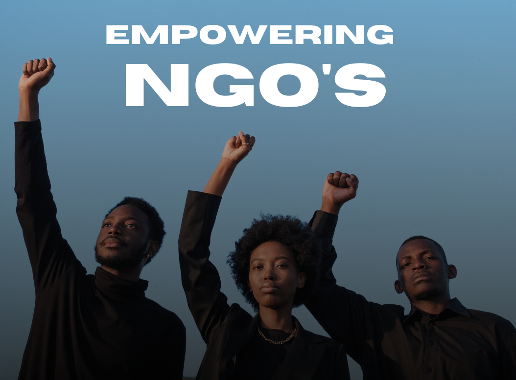 Empowering NGOs: Strategies for Achieving Self-Reliance