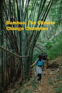 Bamboo Leads Climate Change