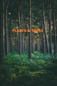 Mitigating the Climate Change