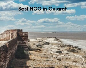 Best NGO in Gujarat