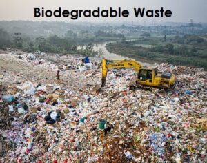 Biodegradable Waste
