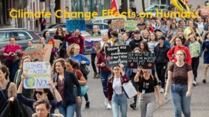 Climate Change Effects on Humans