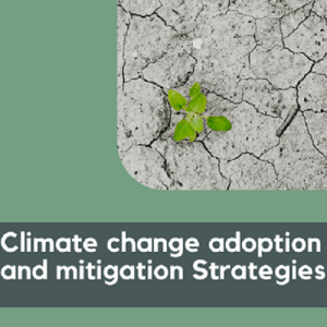 Climate change adoption and mitigation strategies