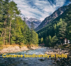 Conserve biodiversity in India