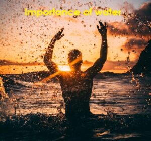 Importance of water