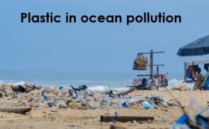Plastic in ocean pollution