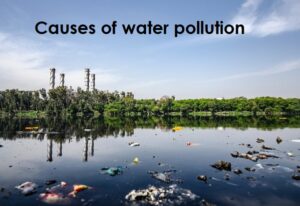 Water pollution