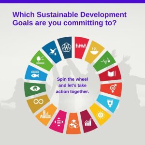 sustainable development goals