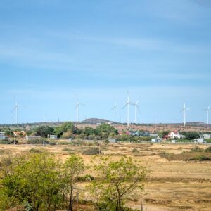 Development and Environmental Sustainability