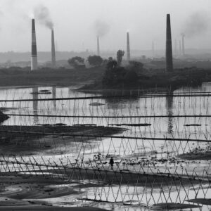 Article on reducing carbon footprint