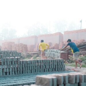 NGOs Working for Environment in India
