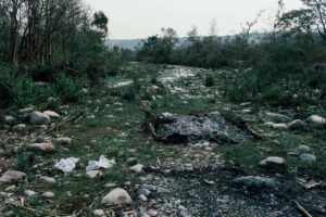 Effects of soil pollution