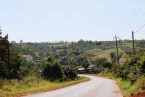 NGO in rural development