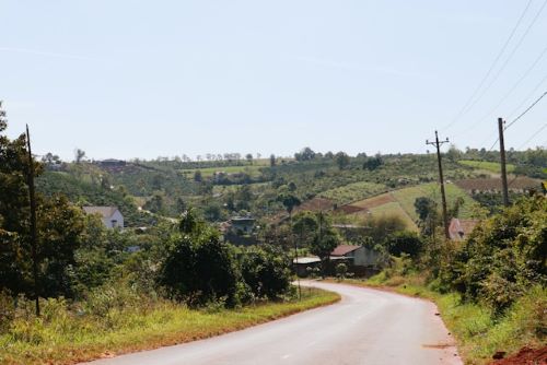 NGO in rural development