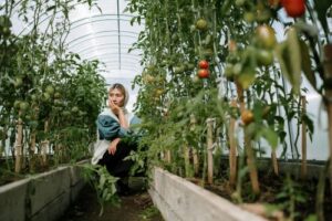 What is Organic farming