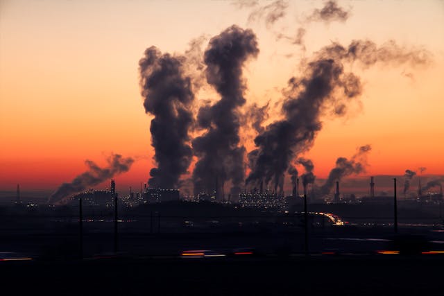 Air Pollution Effects