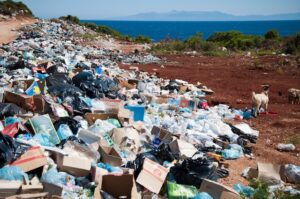 Plastic Pollution